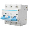 Chint 3 Kutuplu 10Ka / C Tipi 100 A Otomatik Sigorta - 158093