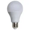 Cata Ct 4058 Rgb Ampul 9 W Kumandalı - CT-4058