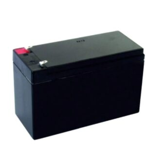 Netelsan 12 V 4 Ah Santral Akü - M.U.AKU.00005